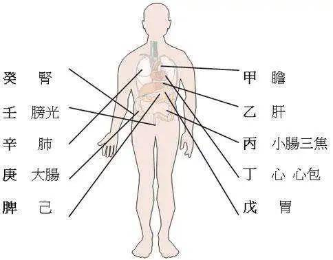 卯大井阿卯_刘大卯粉丝_卯卯