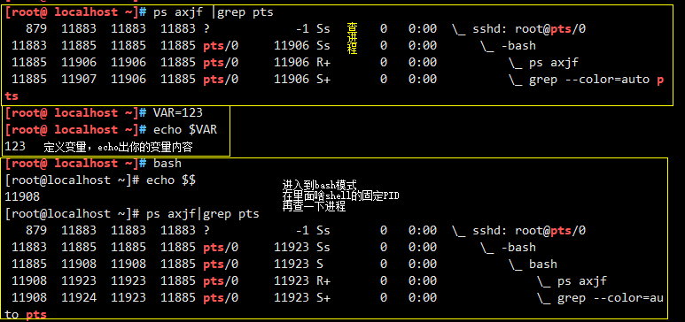 前后端分离代码_php 前后端分离_php前后端不分离