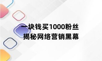 一块钱买1000粉丝 揭秘网络营销黑幕