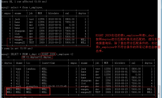 php数据表-在 PHP 中使用表格显示数据库中的数据